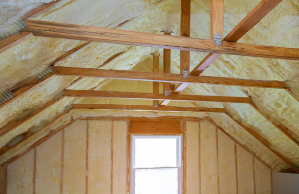 Best Cellulose Insulation in Tioga, TX